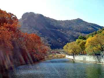 新澳天天开奖资料大全旅游团，大型奶牛养殖场